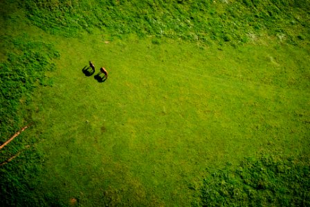 aerial view of grass grass field during daytime photo