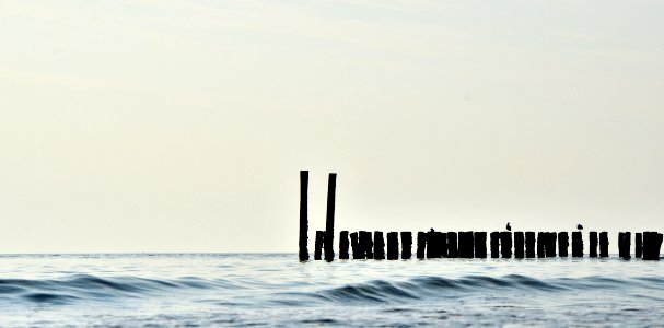 lumber in body of water