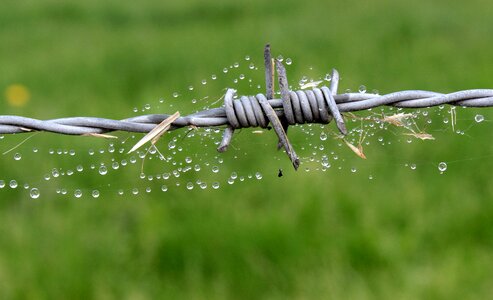 Security metal spur