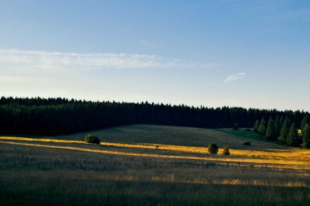 Germany, Fuchskaute, Willingen photo