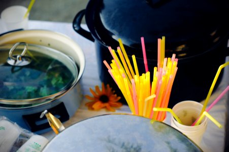 Punch, Yellow, Outdoor