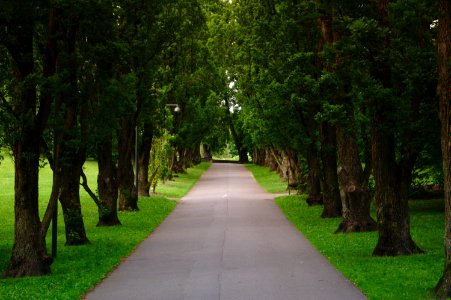 Allee, Avenue, Alley