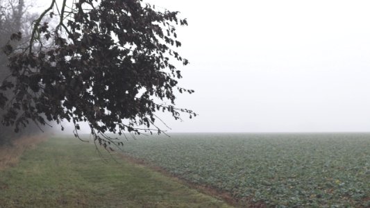 Norfolk, Cold, Winter