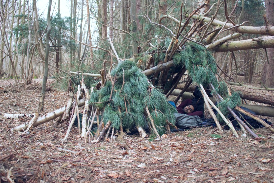 Shelter, Forest, Bivouac