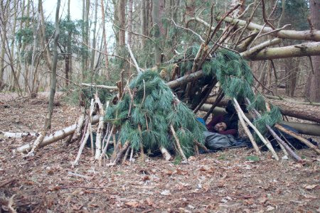 Shelter, Forest, Bivouac photo