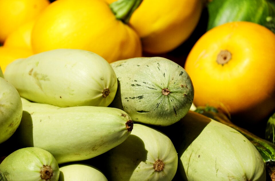 Bio food vegetarian