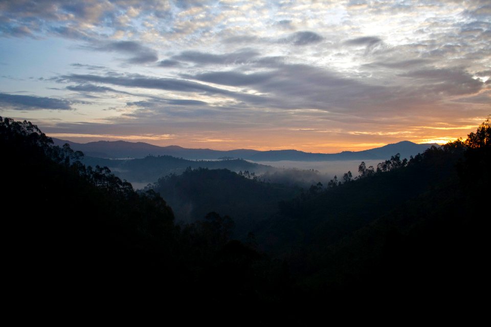 Hiking, Adventure, Walking