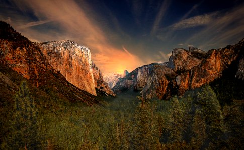 green forest near the mountains photo