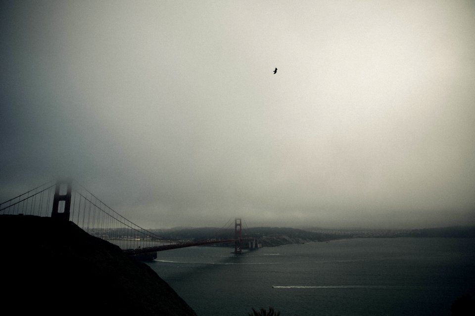 Ocean, Water, Fog