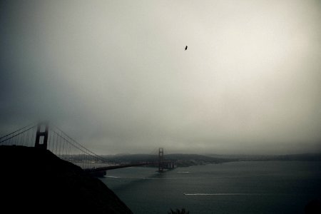 Ocean, Water, Fog