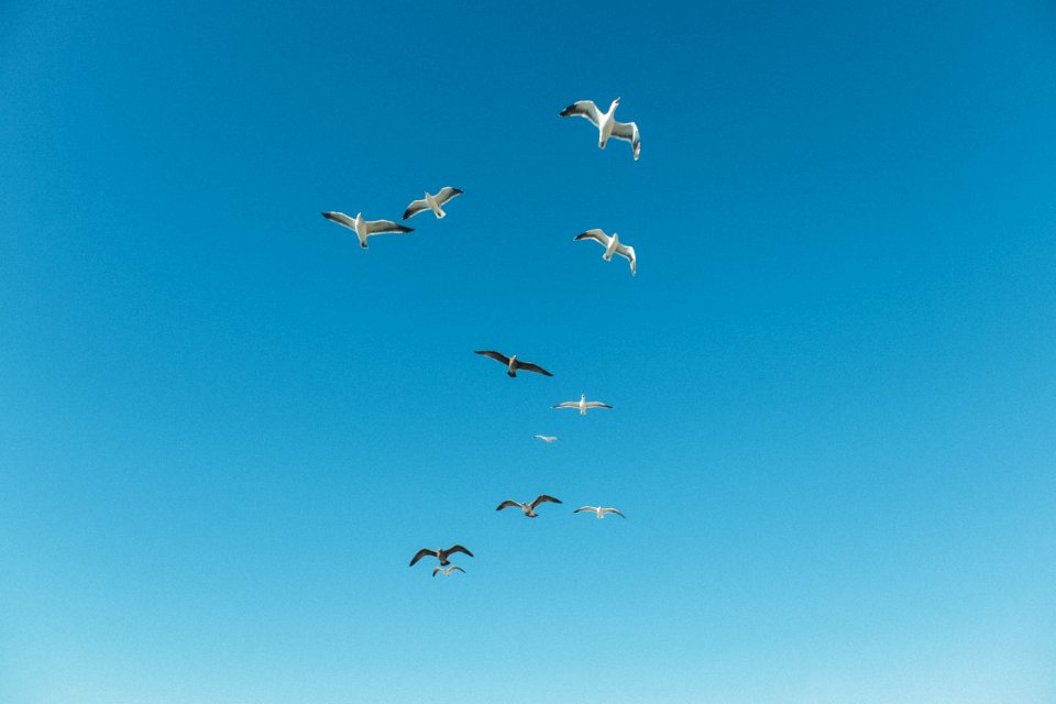 Santa cruz, United states, Ocean