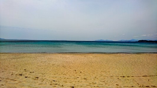 Bormeslesmimosas, Provencealpescte dazur, France