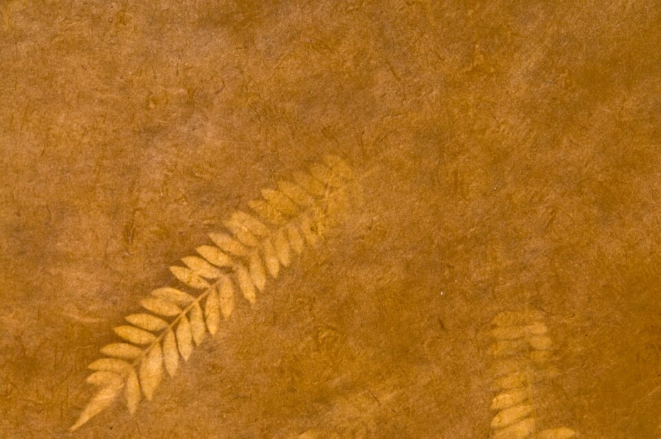 Old old walls design