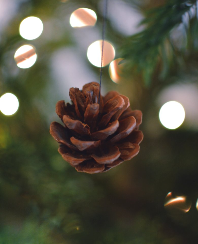 Winter, Wallpaper, Tree