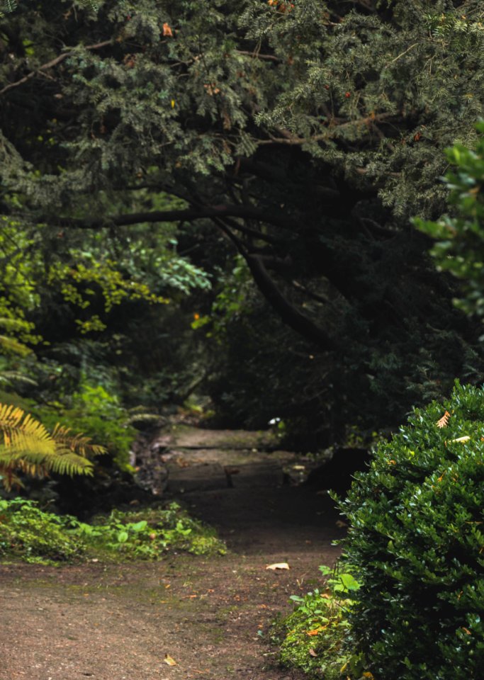 Nature, Social media, Wallpaper