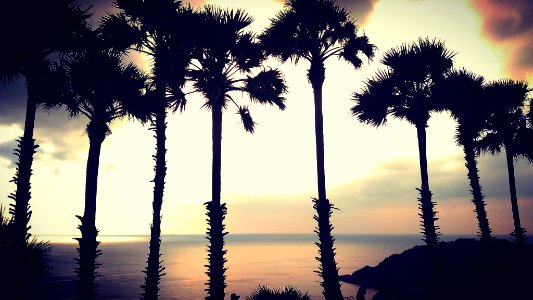 Phuket isl, Thail, Nature