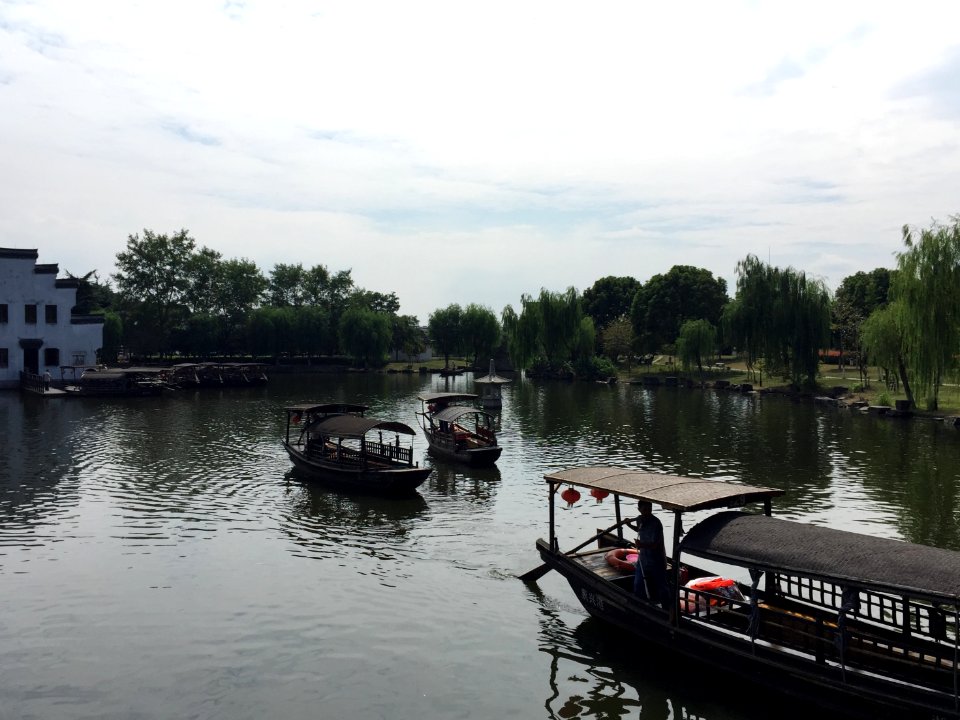 China, Xitang, Tree
