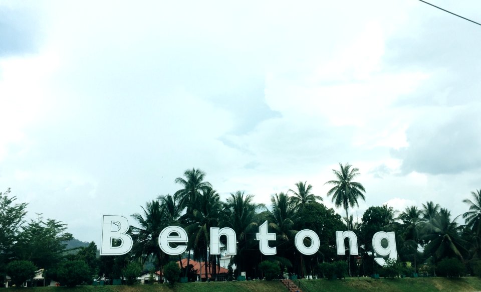 Bentong, Trees, Scape