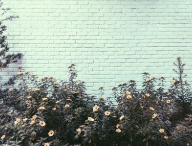 Grey, Bricks, Flowers
