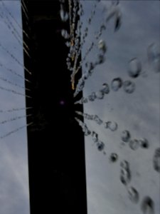 Phoenix, Water