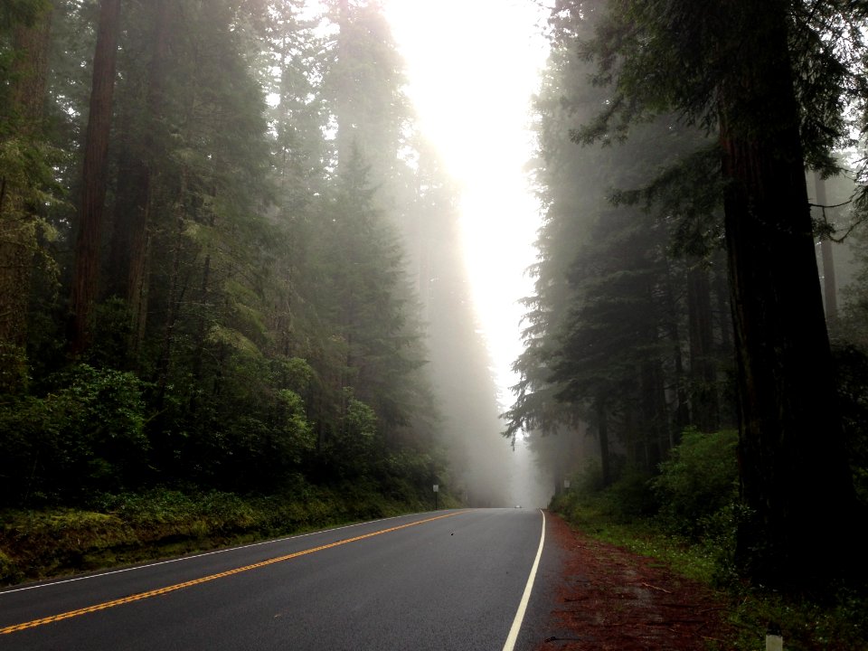 Klamath, California, United states