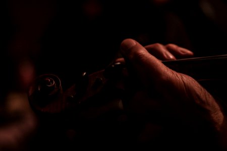 Strings, Instrument, Playing