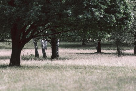 Germany, Nrw, Side photo