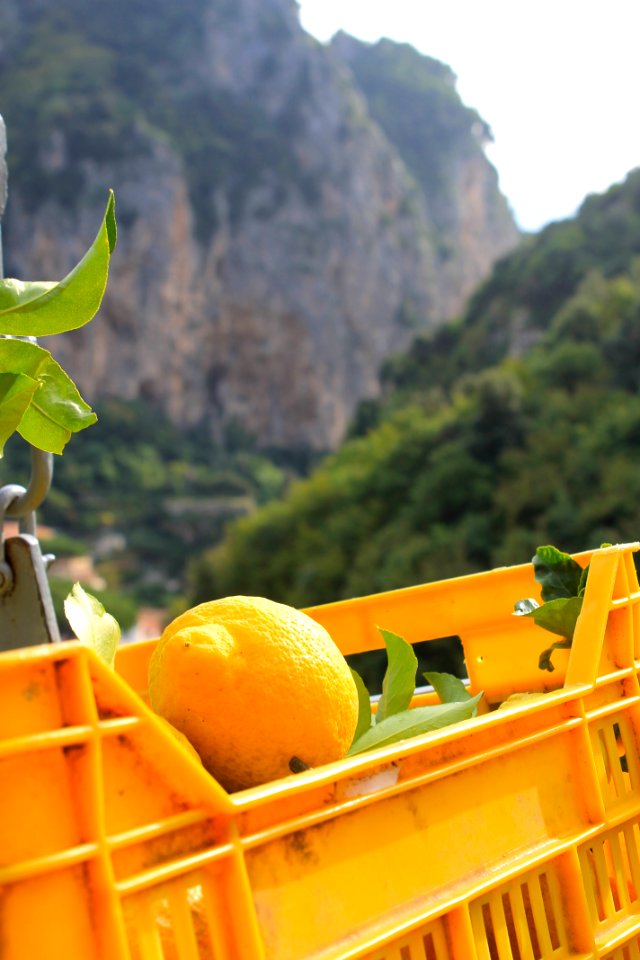 Amalfi, Italy, Coast
