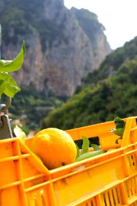 Amalfi, Italy, Coast photo