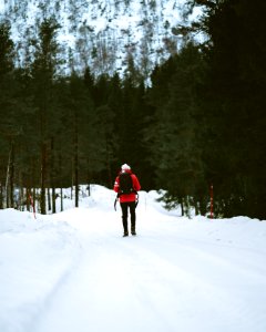 person walking on snow ground photo