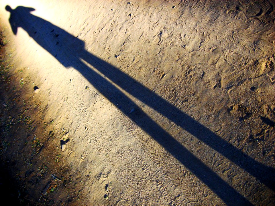 Pisco elqui, Iv regin, Chile