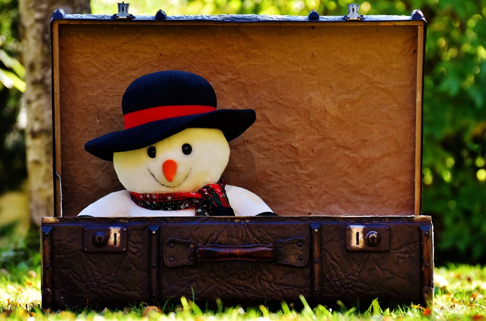 Luggage antique funny