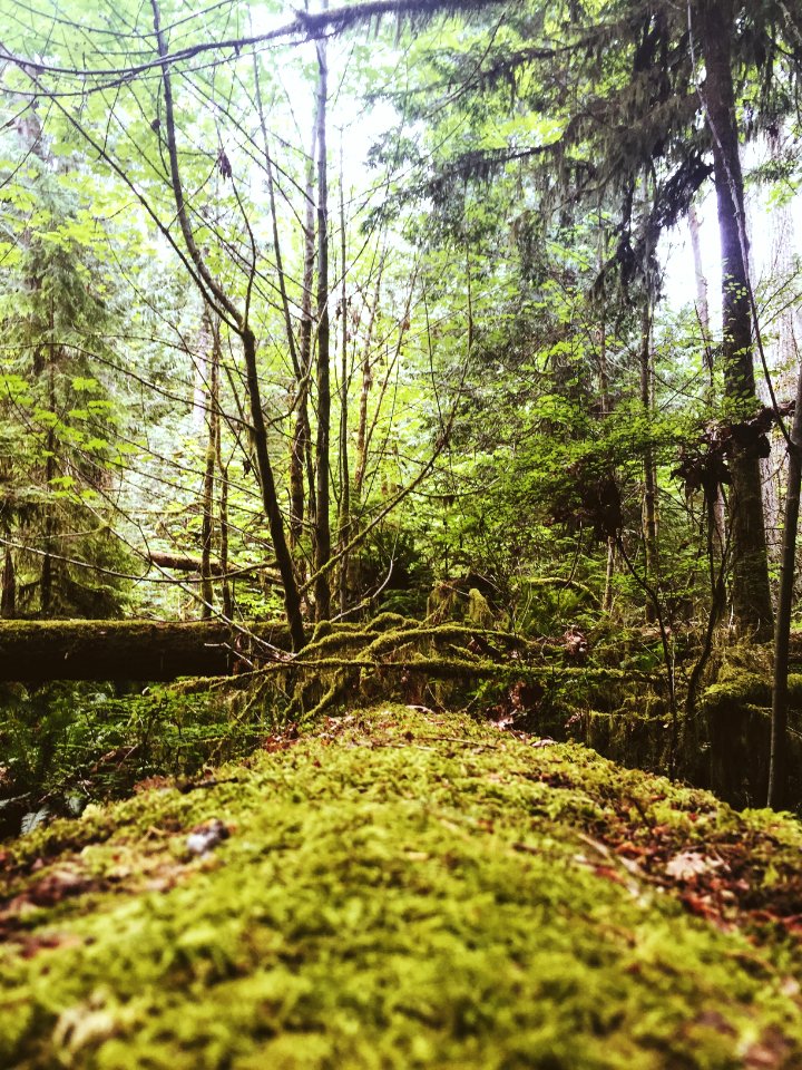 Vancouver, Canada, Busy