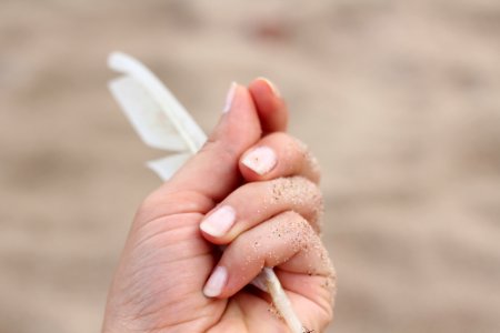 person holding white feather photo