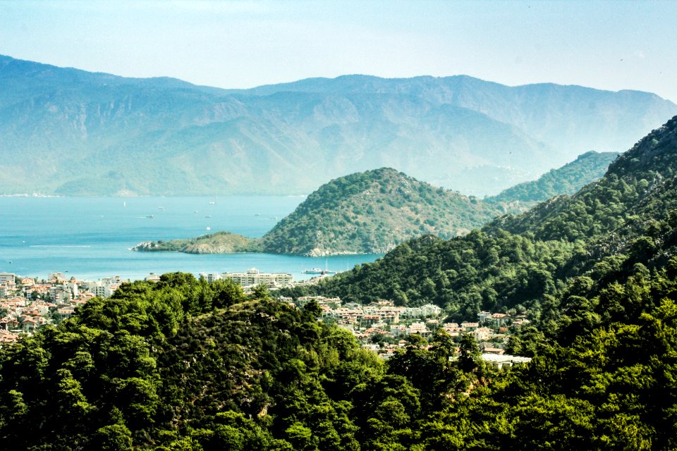 Turkey, Forest, Warmday
