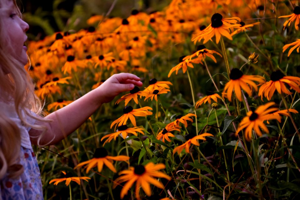 Orange, Girl, Field