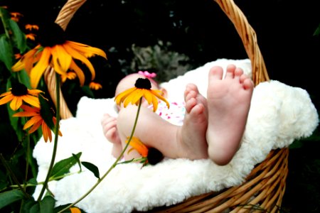 baby laying on brown wicker basket photo