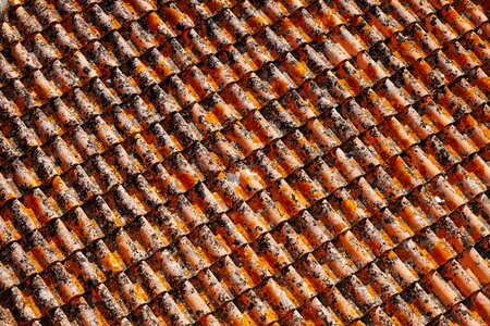Pattern roof texture
