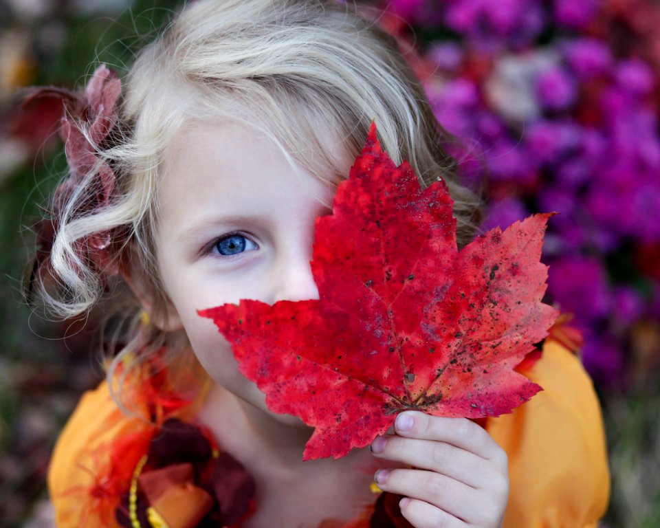 girl holding red maple leaf