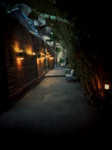 Dark, Woods, Cabins