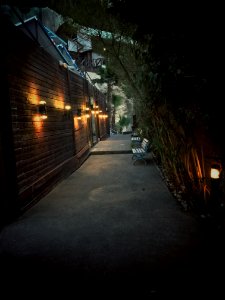 Dark, Woods, Cabins photo