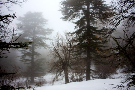 Ehden, Lebanon