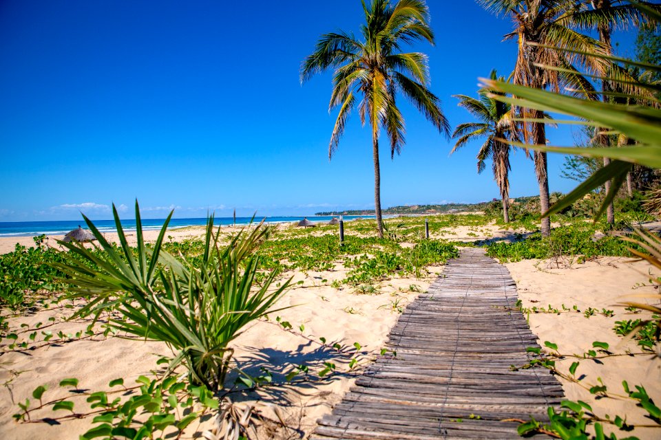 Nature, Barra beach club, Mozambique