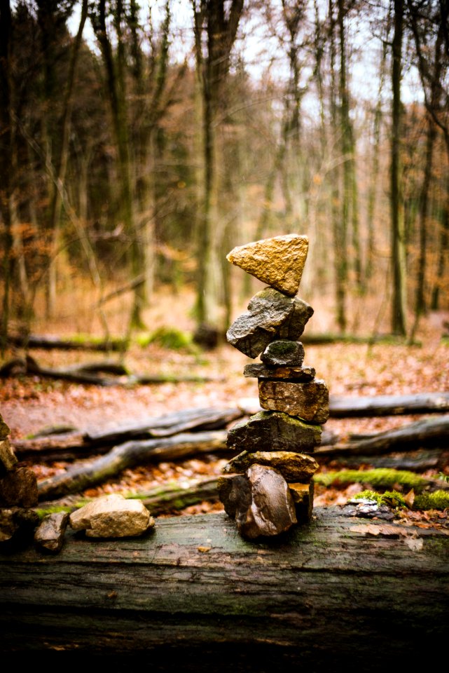 Balance, Pile, Forest photo