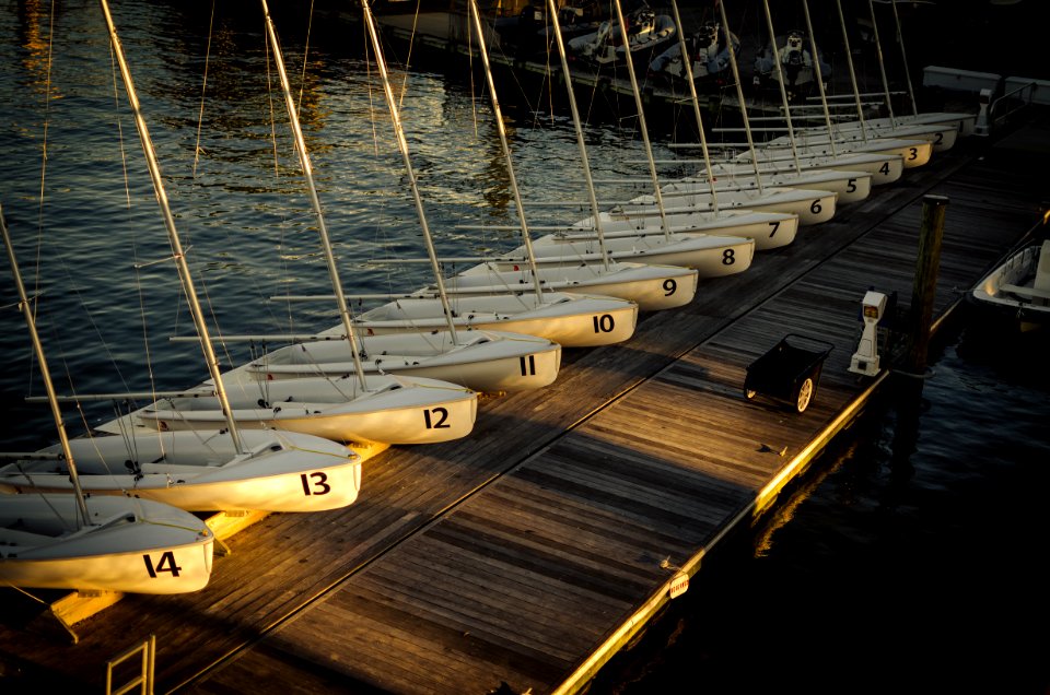 high-angle view of lined white boats on wooden bridge over body of water