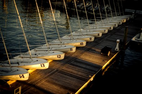 high-angle view of lined white boats on wooden bridge over body of water photo