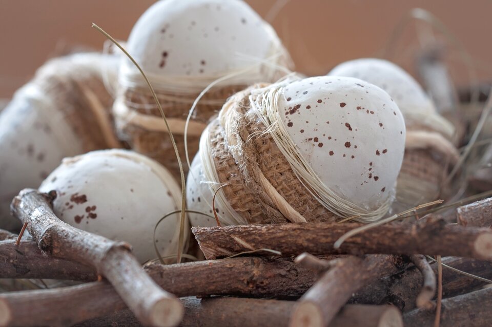 Dekoeier nest easter