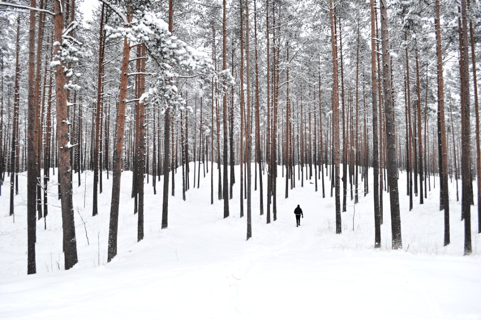 person walking on field of snow