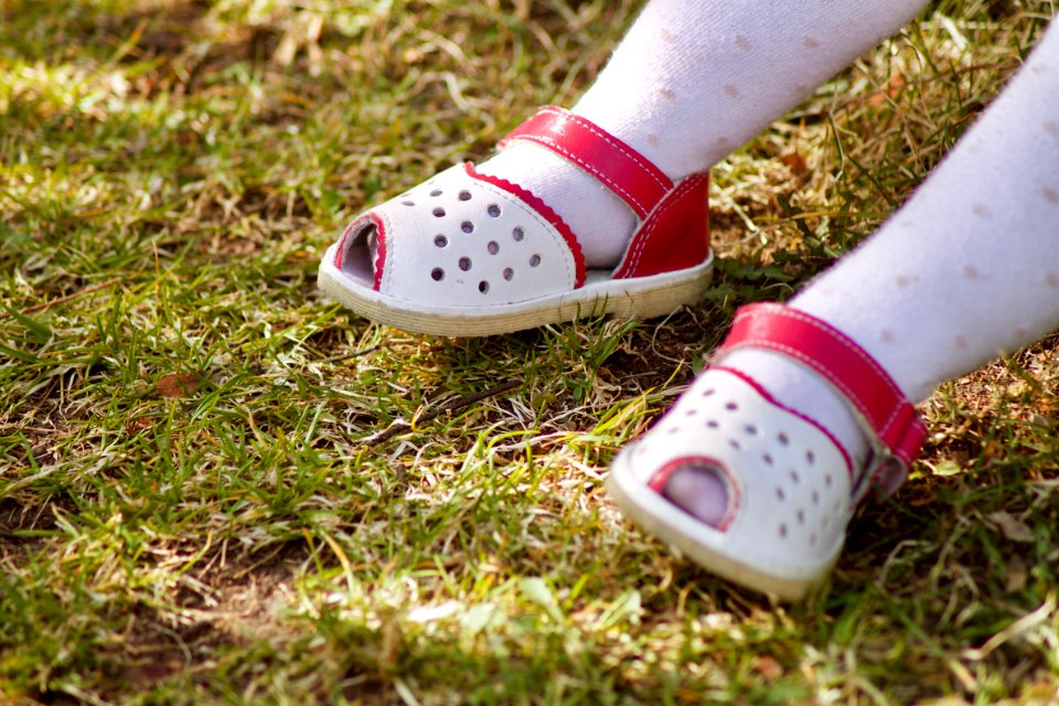 Girl, Grass, Child photo