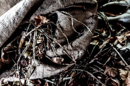 Leaves, Strow, Hay